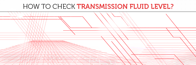 How To Check Transmission Fluid Level?
